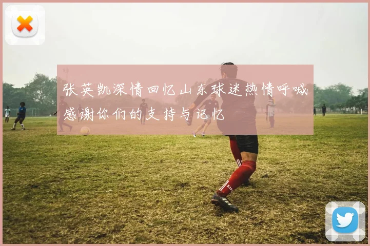 张英凯深情回忆山东球迷热情呼喊感谢你们的支持与记忆
